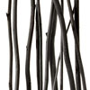 noir twigs