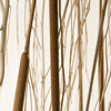 twigs