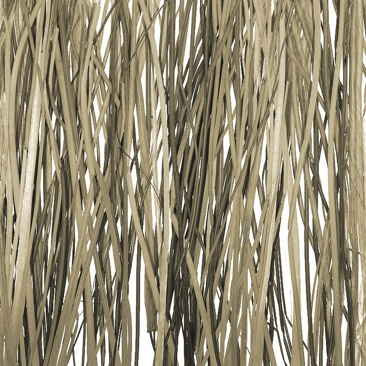 Varia Ecoresin Naturals Bear Grass Materials 3form